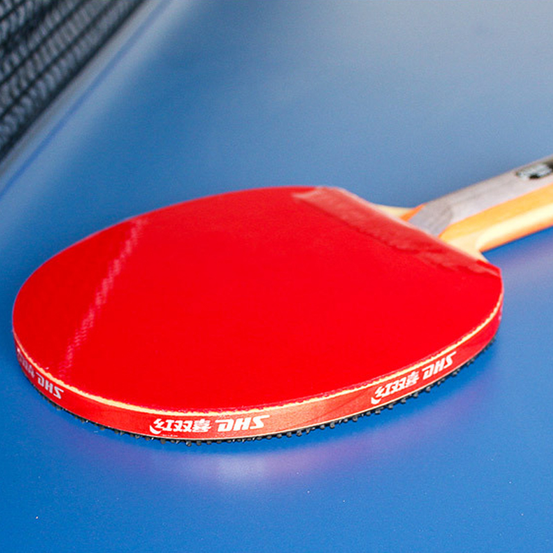 DHS Self-adhesive Table Tennis - đánh giá và giá Table Tennis Net Set