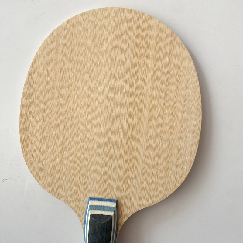 Lemuria VIS Carbon Fiber Table - đánh giá và giá Table Tennis Gun