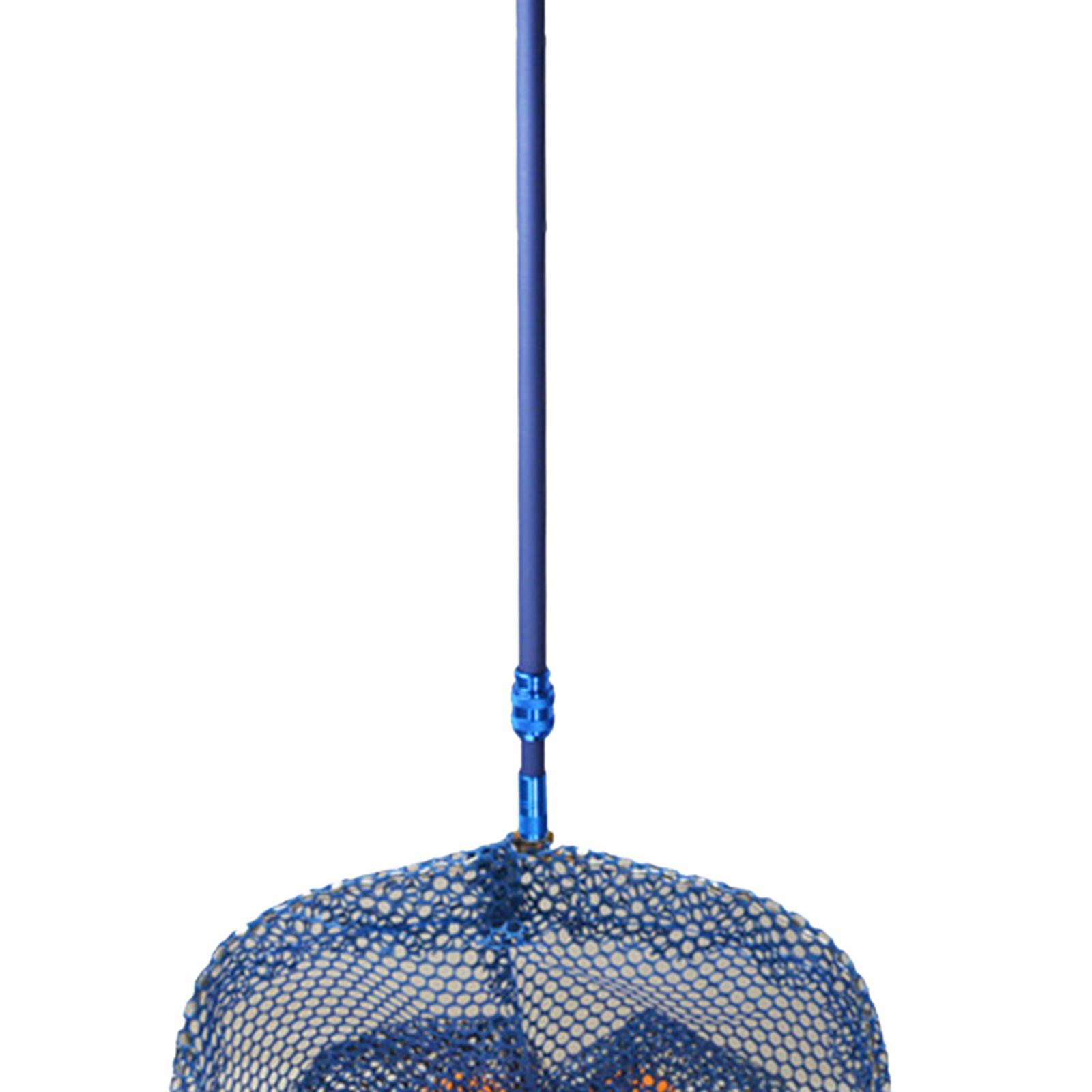Carbon Fiber Table Tennis Ball - đánh giá và giá Table Tennis Net Set